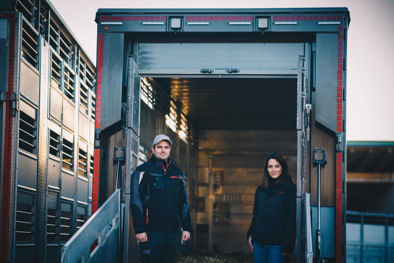 Tiertransporte | The journey