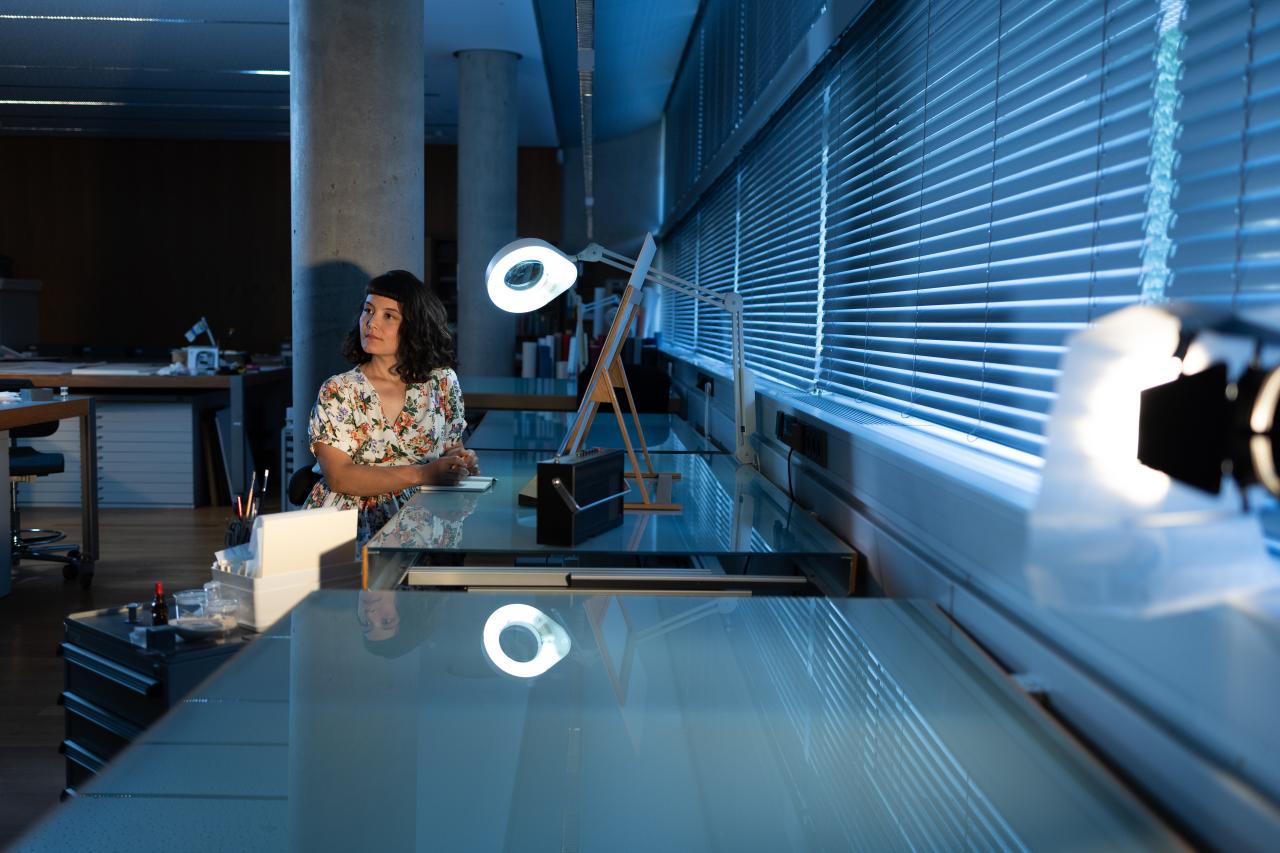 Backstage Photo - New Year's Concert Intermission Film 